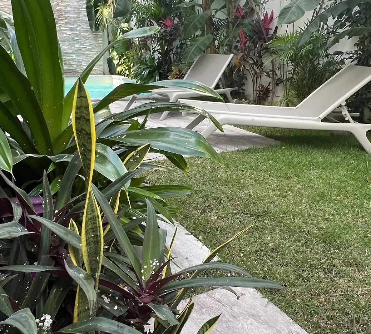 Luxury Vacation Villa Near The Caribbean Ocean Playa del Carmen