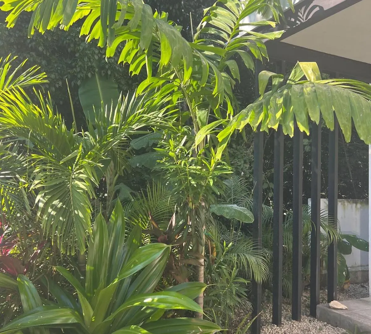 Luxury Vacation Villa Near The Caribbean Ocean Playa del Carmen