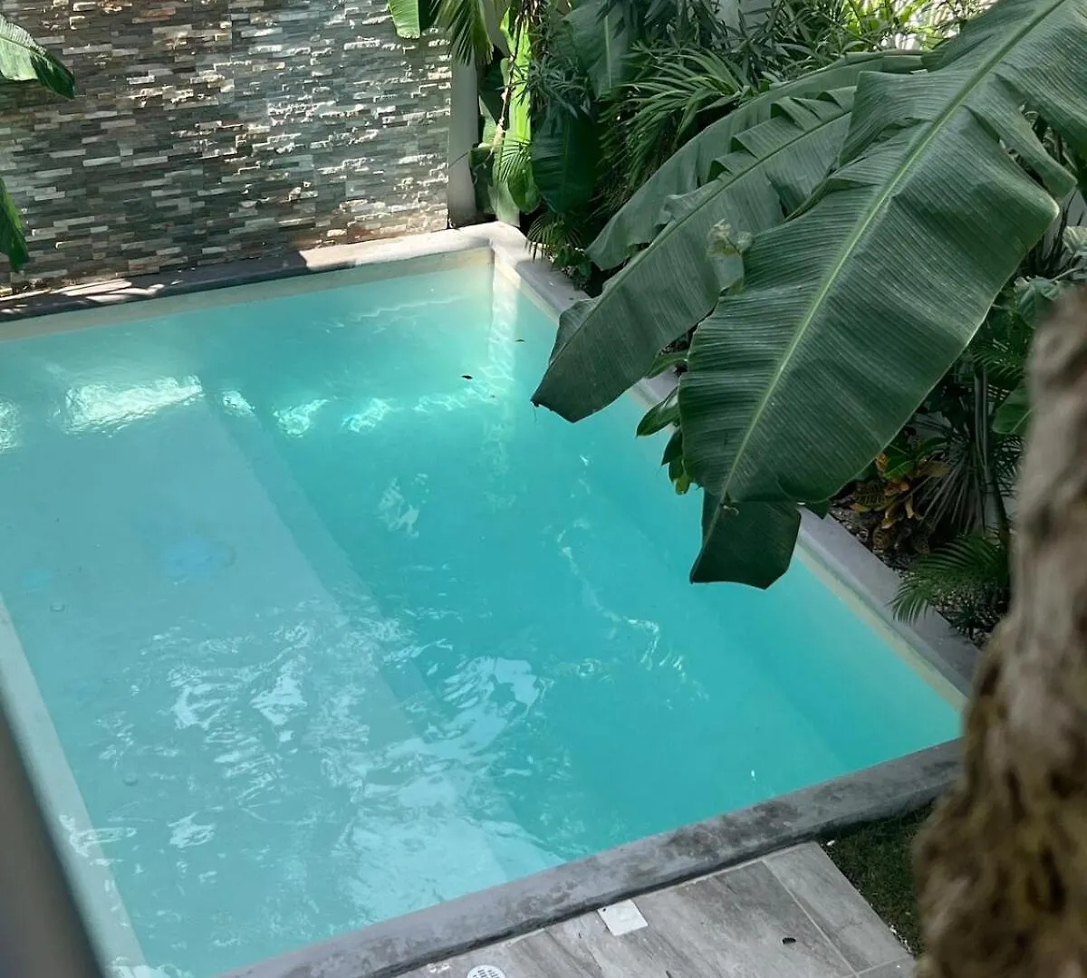 Luxury Vacation Villa Near The Caribbean Ocean Playa del Carmen Mexico