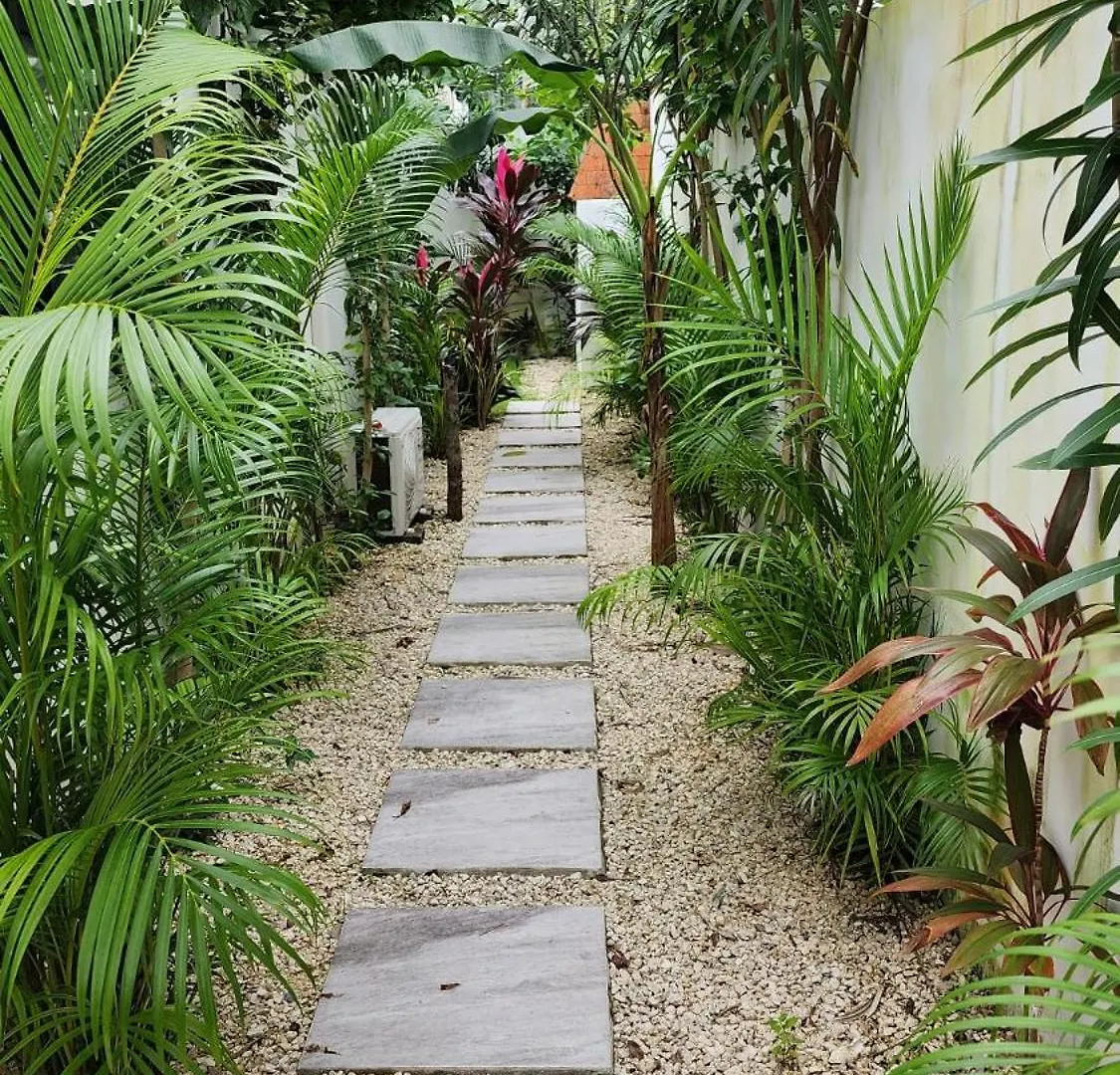 Luxury Vacation Villa Near The Caribbean Ocean Playa del Carmen