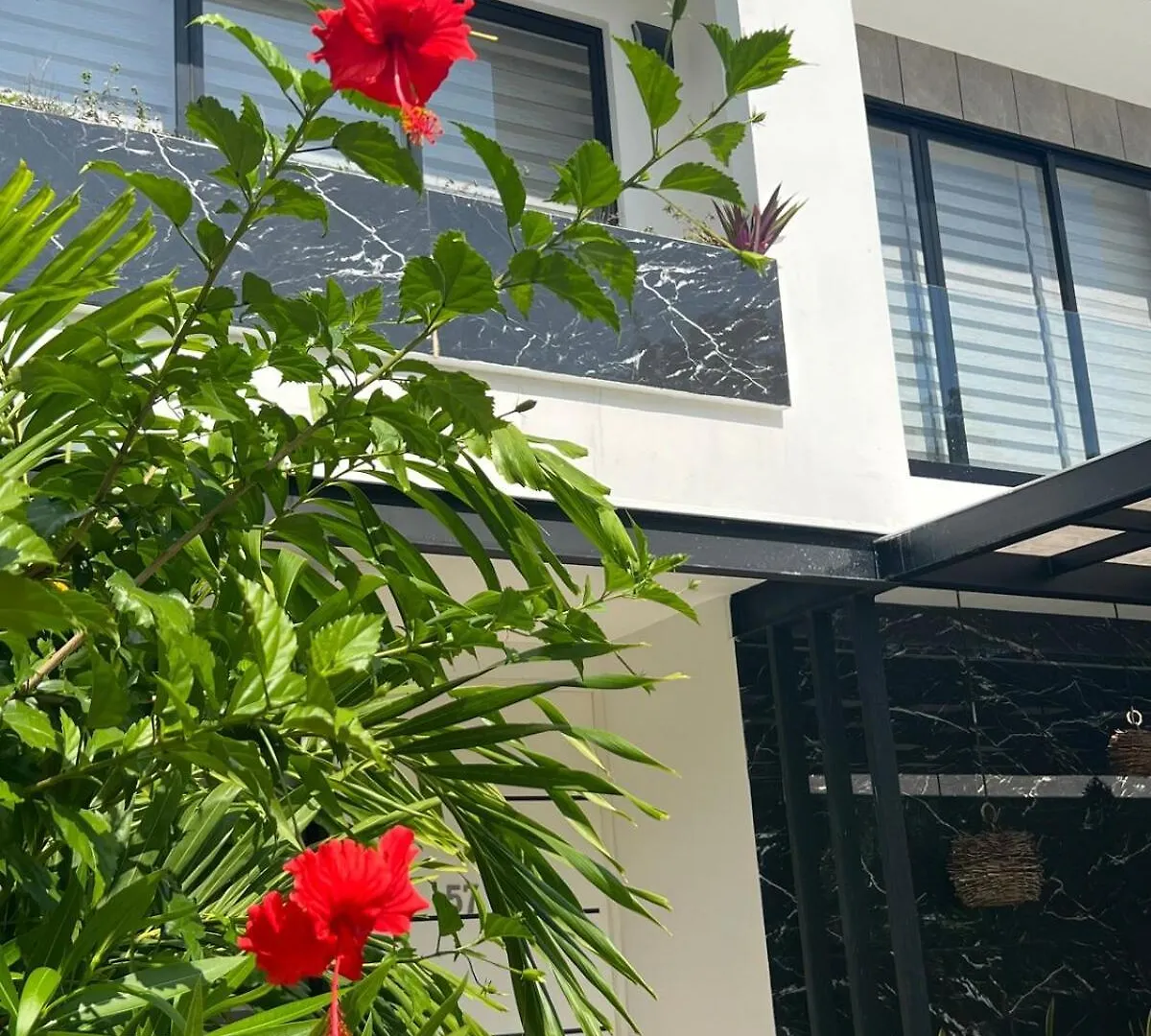 Luxury Vacation Villa Near The Caribbean Ocean Playa del Carmen