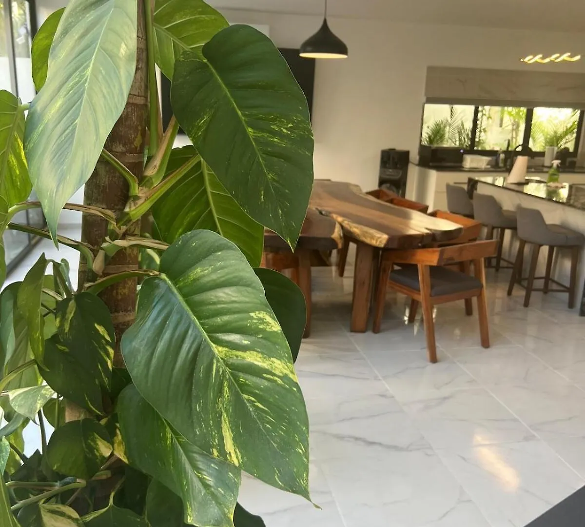 Luxury Vacation Villa Near The Caribbean Ocean Πλάγια Ντελ Κάρμεν