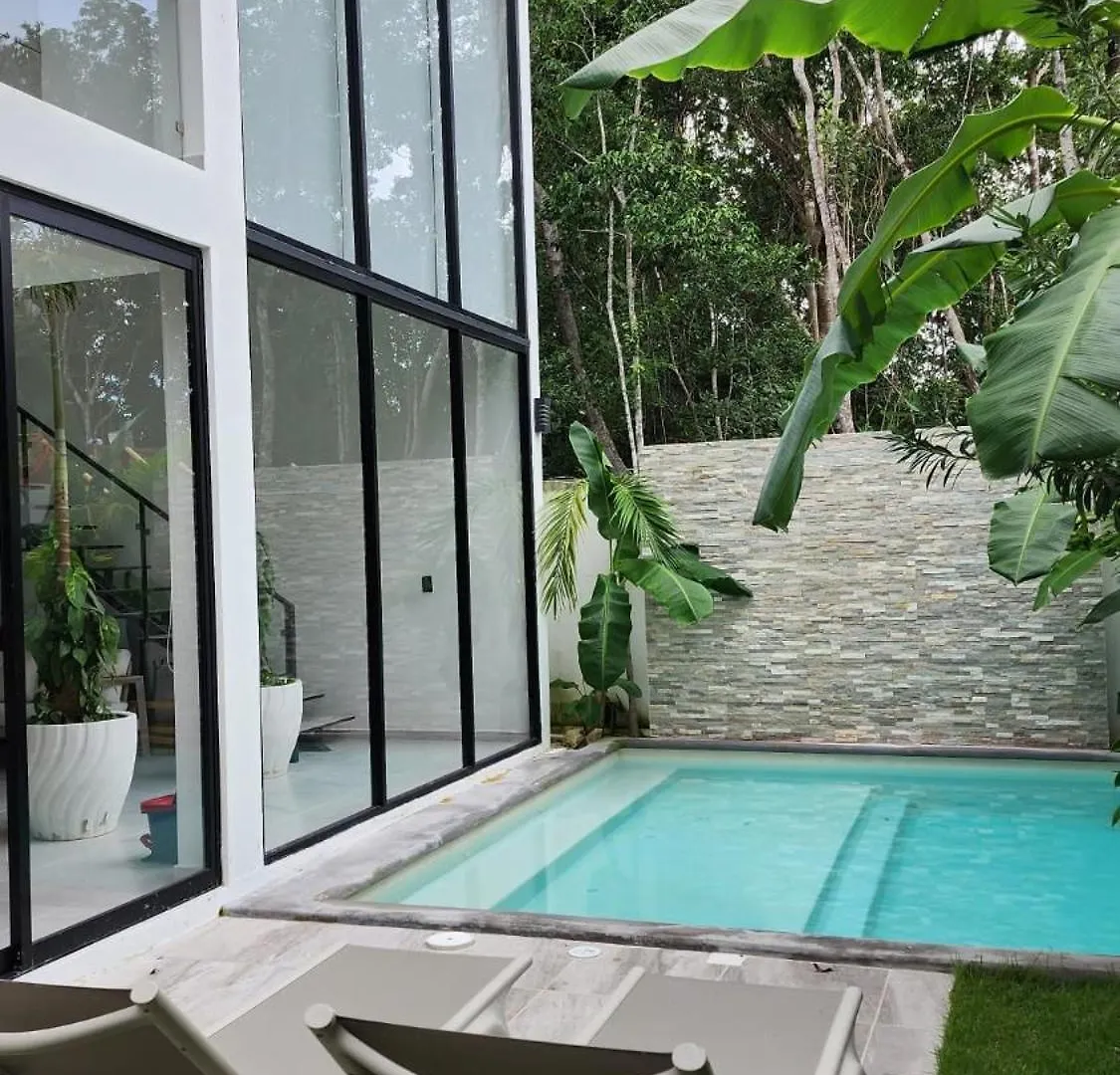 Luxury Vacation Villa Near The Caribbean Ocean Πλάγια Ντελ Κάρμεν Μεξικό