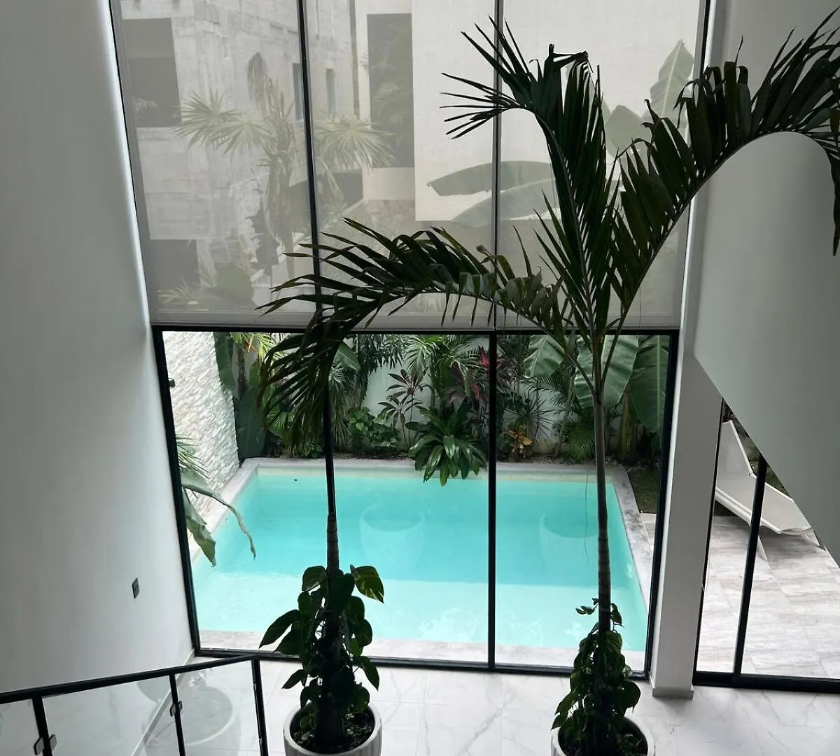 Luxury Vacation Villa Near The Caribbean Ocean Πλάγια Ντελ Κάρμεν